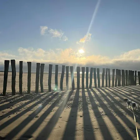 L'ecorce Marine 게스트하우스 3*